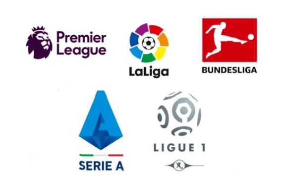 广厦队整体 广厦队整体