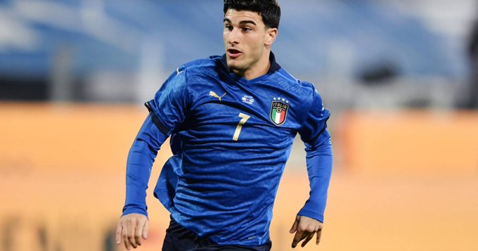 台为新队友 台为新队友